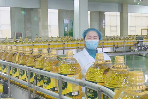 【工匠精神】李民：勇?lián)?dāng)善作為，巾幗何須讓須眉