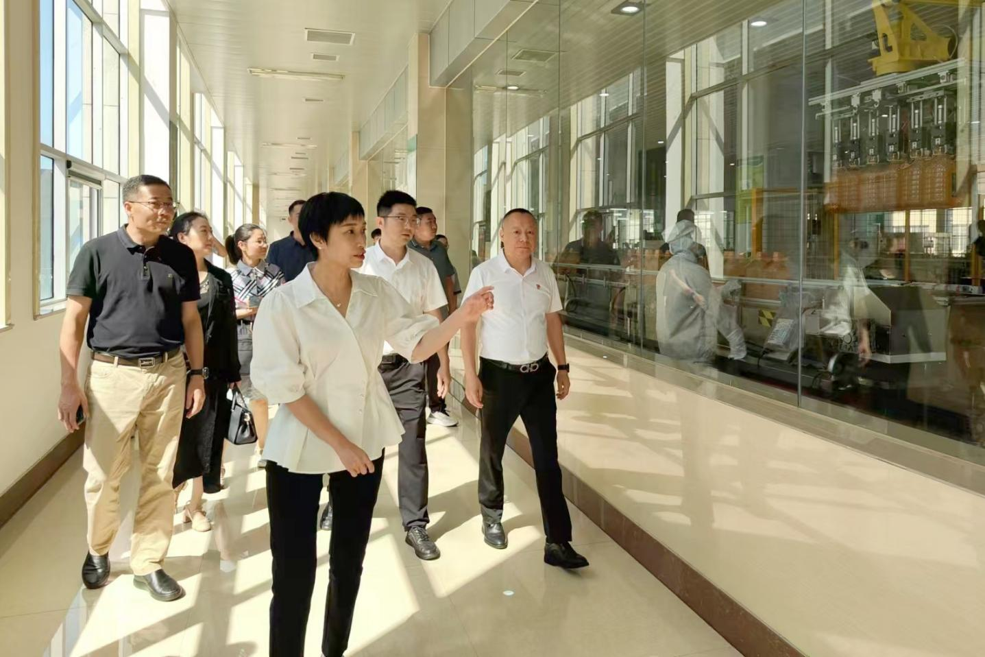 桐廬縣委副書記、縣長張蕙娜到桐廬玉米產(chǎn)業(yè)公司走訪調(diào)研