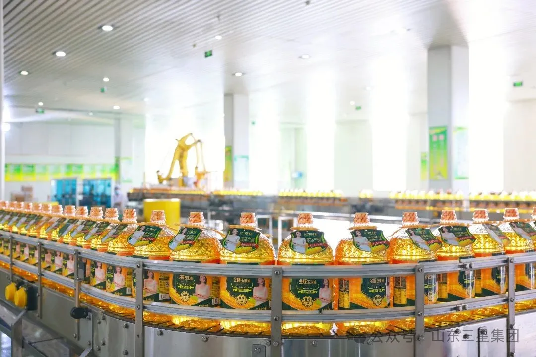 山東三星集團(tuán)六個項目入選2025年山東?。ǖ谝慌┢髽I(yè)技術(shù)創(chuàng)新項目計劃