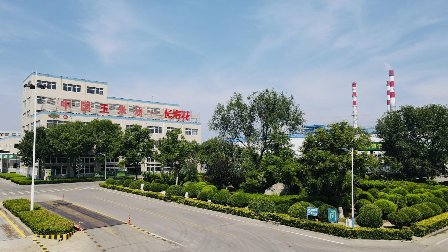 創(chuàng)新驅(qū)動 產(chǎn)權(quán)護(hù)航｜長壽花食品通過知識產(chǎn)權(quán)管理體系監(jiān)督審核