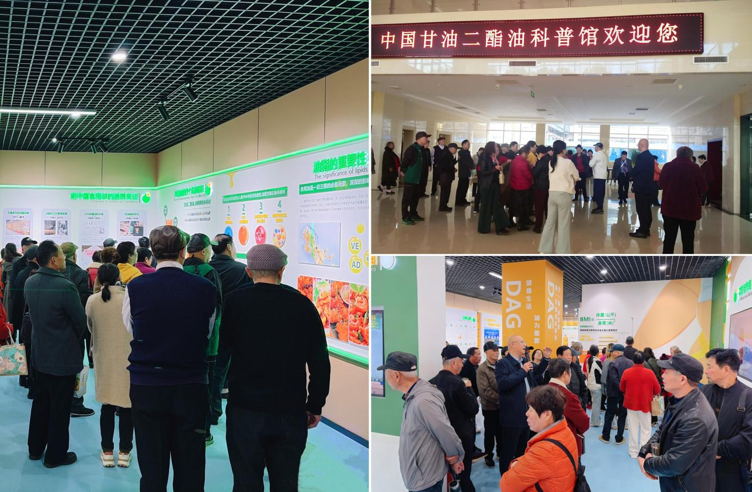 權(quán)威科普｜全國首個甘油二酯油科普館迎來參觀熱潮